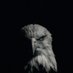 generation of scatters (@bullet_king9) Twitter profile photo generation of scatters (@bullet_king9) Twitter profile photo