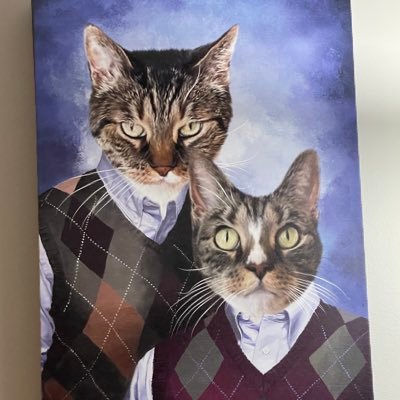 mme26's profile picture. Transplanted Yinzer, Childless Cat Lady 😸, marathoner 🏃‍♀️wino 🍷, traveler ✈️, and lover of doughnuts 🍩. Adopt, don’t shop! #natitude ⚾️ H2P 💙💛