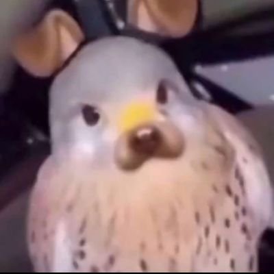 keyifyok's profile picture. jaersn priv