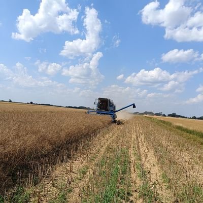 tomek_szewa's profile picture. Mąż Magdaleny, tata Hani i Adasia🧑‍🍼 Trochę rolnik🚜👨‍🌾🌾 trochę geodeta kartograf 🗺️ Hobbistycznie ogrodnik🙂🌱🏡