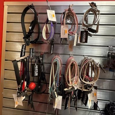 SeybertTuc63168's profile picture. I am THE embodiment of power and beauty, and men are nothing but my playthings!!!