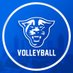 GSU Court Volleyball (@gsu_courtvb) Twitter profile photo GSU Court Volleyball (@gsu_courtvb) Twitter profile photo