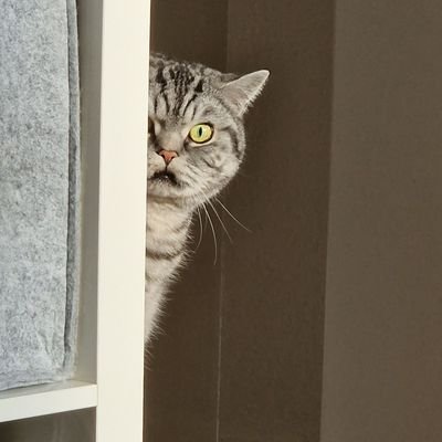 sbstnkln94's profile picture. https://t.co/uVScourbMn