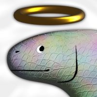 simon (@bugfoe) 's Twitter Profile Photo