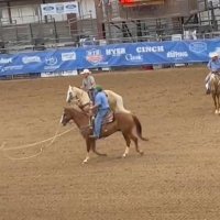 Husker Dan (@dan_cahoy) 's Twitter Profile