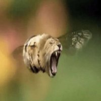brainrot dimension (@brainrotpostig) 's Twitter Profile