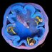 Bomba-Warczak Lab (@bomba_lab) Twitter profile photo Bomba-Warczak Lab (@bomba_lab) Twitter profile photo