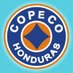 Secretaría de Gestión de Riesgos y Contingencias (@copecohonduras1) Twitter profile photo