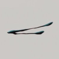 SONDUKE Magazine (@sonduke_mag) 's Twitter Profile Photo SONDUKE Magazine (@sonduke_mag) 's Twitter Profile Photo