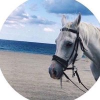 🍕. (@e_7l77) Twitter profile photo