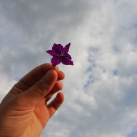 Nur Çubuk (@nurr_cubuk) 's Twitter Profile