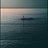 ldh3332's profile image