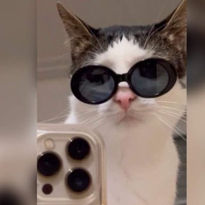 تراپیستشونم🐣
(ضد ساس🏳️🌈)
https://t.co/f624WoCcRX