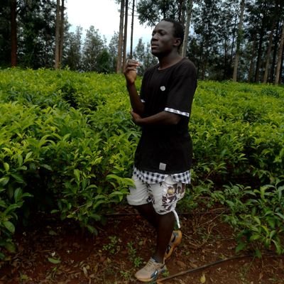 KandearNajib's profile picture. 