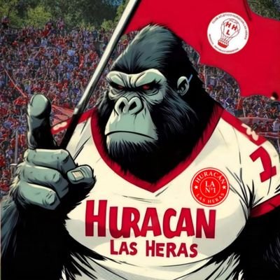 🎈HURACÁN LAS HERAS🎈 Hincha del más popular 🌪1939 🦍 📍San José