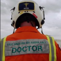 Hutch (@haldenhb) 's Twitter Profile