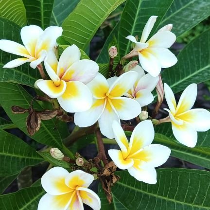 sppl79's profile picture. 