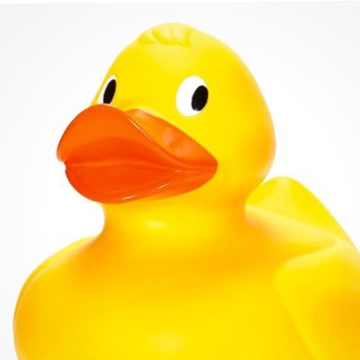 Bfribus's profile picture. Cool Amazon stuff