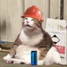 PINK666_'s profile picture. | “Fighting games are something so great” | CFL | competitor for @jellyfishthreat | Sleepy lil fukyo enjoyer | #WAUST | #TRANSRIGHTS🏳️‍⚧️| banner @halocantkb |
