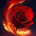 ❈النور المبين❈ (@oxo314_) Twitter profile photo ❈النور المبين❈ (@oxo314_) Twitter profile photo