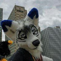 The Derpiest of Derps (@slywolf5) 's Twitter Profile
