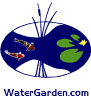 The Water Garden LLC is a company specializing in all aspects of water gardening.  Online store and complete resource.  Retail and wholesale. Physical store.