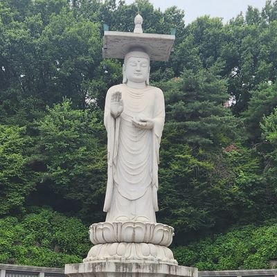 8ymk8ymk8's profile picture. go go go