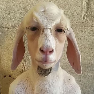 daveooooo4's profile picture. ㋛