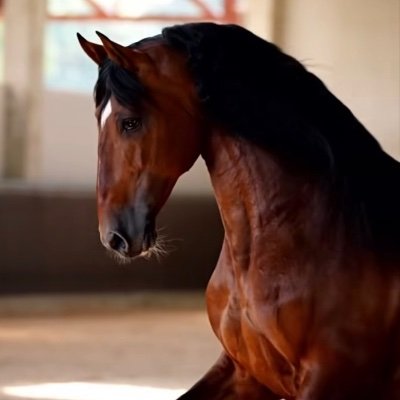 Miriamdiazni13's profile picture. Pregúntate si lo que estás haciendo hoy te acerca al lugar en el que quieres estar mañana