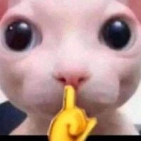 splitzgg (@splitzgg7) 's Twitter Profile