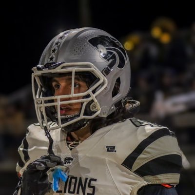 Julien Sanchez Profile