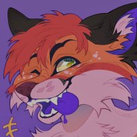 Clovis the Fox (@clovis_fox) 's Twitter Profile Photo Clovis the Fox (@clovis_fox) 's Twitter Profile Photo