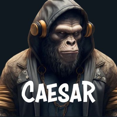 teamadams7's profile picture. 