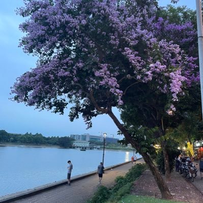 Tôi đẩy mình xuống địa ngục bằng những tư tưởng logic sáng ngời và lựa chọn thực tế ngu si đần độn!