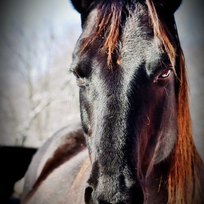 misslilly765362's profile picture. 