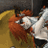 syporiqarele's profile image