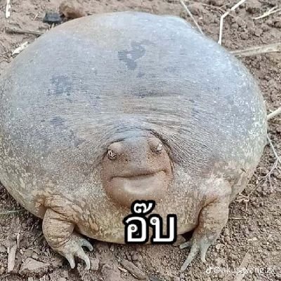 Kc058M72317's profile picture. 