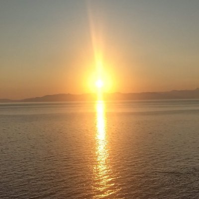 Walkabout14806's profile picture. Just a guy.  Trending towards Liberty