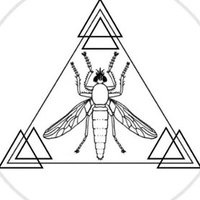 Team Diptera 🪰🔍🦟🌻 (@team_diptera) 's Twitter Profile Photo
