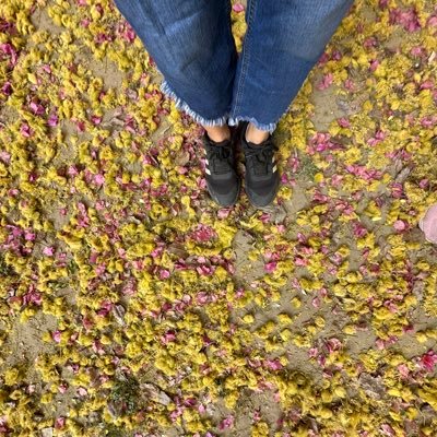 rawatanshika320's profile picture. Be bold and explore the world! Cynophile | Hodophile | Army brat