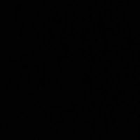 Dacoda Wahpekeche (@dacodamcdwahp) 's Twitter Profile