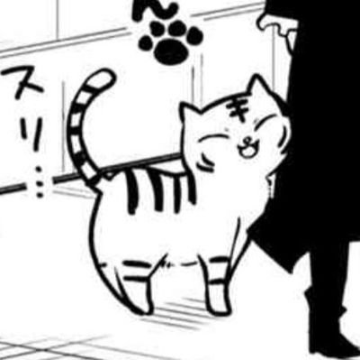 0096DY's profile picture. reading acc ⋆ 18+