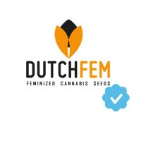 Dutchfem (@dutchfem) 's Twitter Profile Photo Dutchfem (@dutchfem) 's Twitter Profile Photo