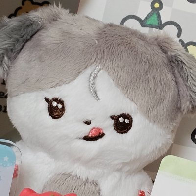 늑대켕 Profile