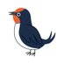 @swallows2020v