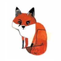 Foxies ๐ฌ๐ง ๐ฎ๐ช๐ฉ๐ช๐ช๐บ #FBPPR #FBPEGlobal (@santebonviveur) 's Twitter Profile