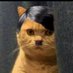 Saul (@gringothep) Twitter profile photo Saul (@gringothep) Twitter profile photo