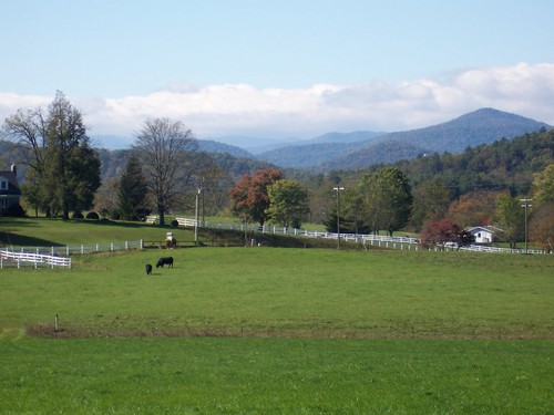 RusticMtnMomma's profile picture. I'm a grammy, ebayer who Loves the Lord.