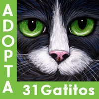 31Gatitos(@31gatitos) 's Twitter Profile Photo