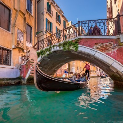 wnemf69911184's profile picture. 